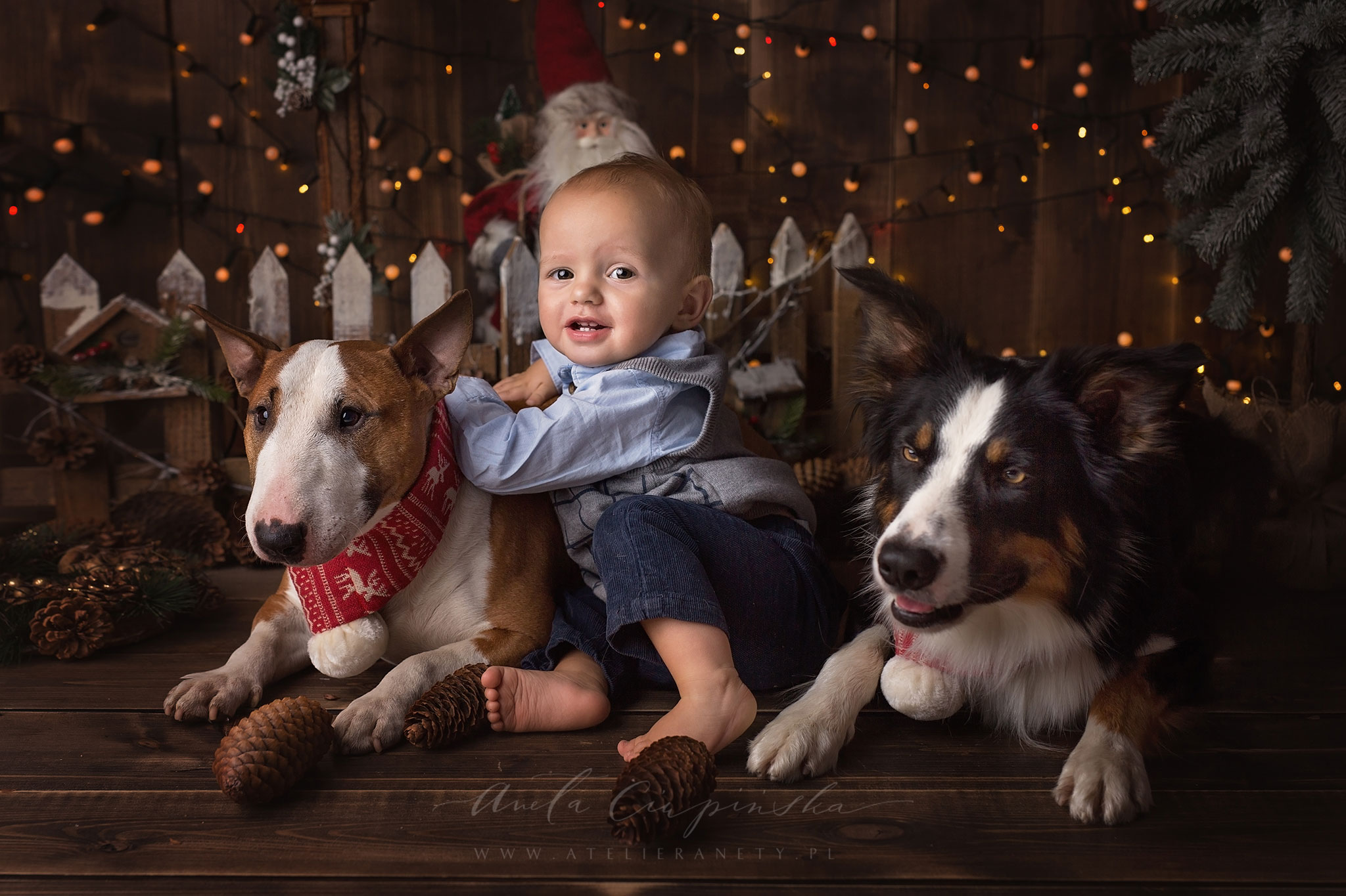 Sesja świąteczna Hani i Jasia